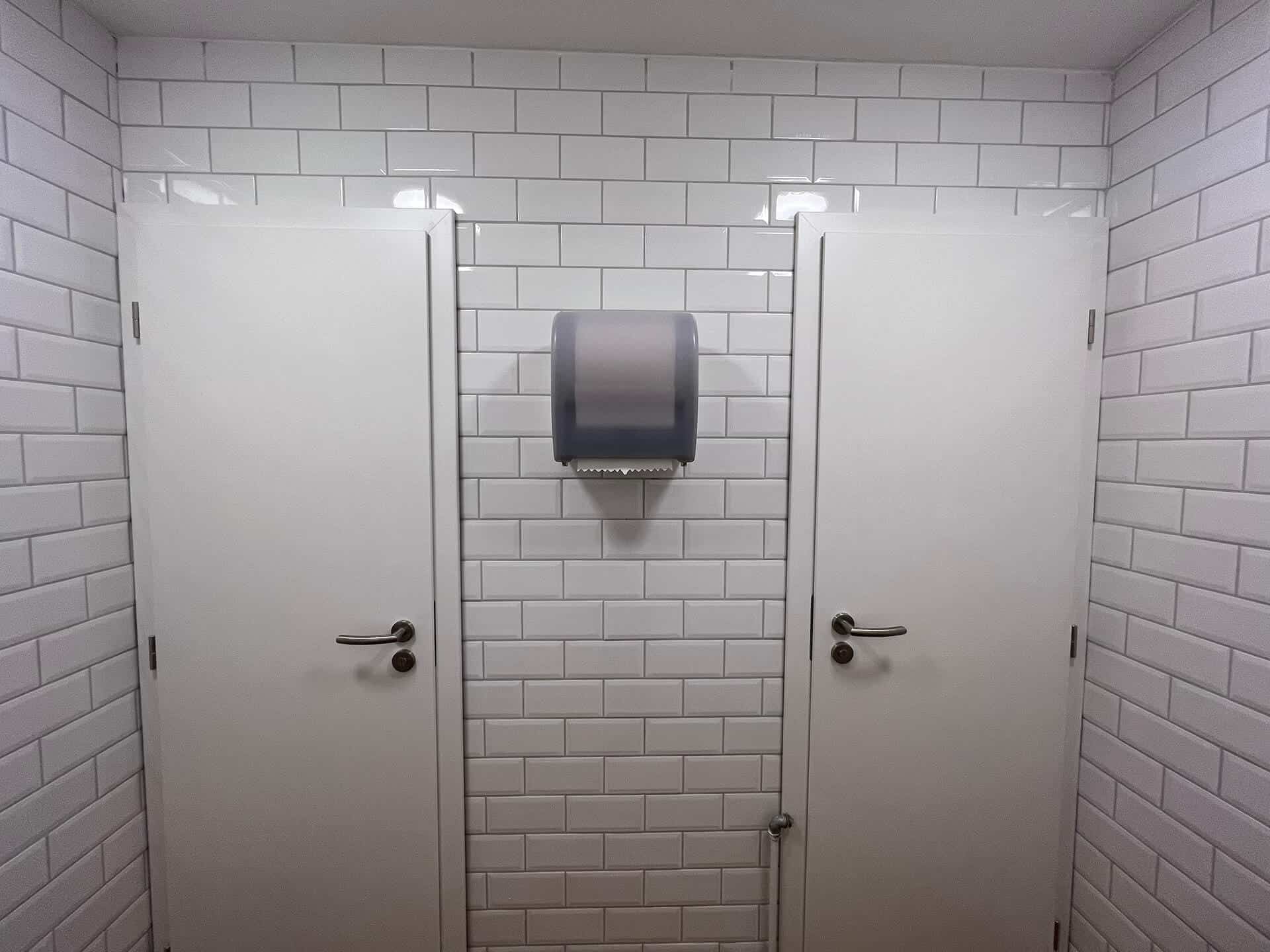 Shared bathroom in Erjavčeva's hut