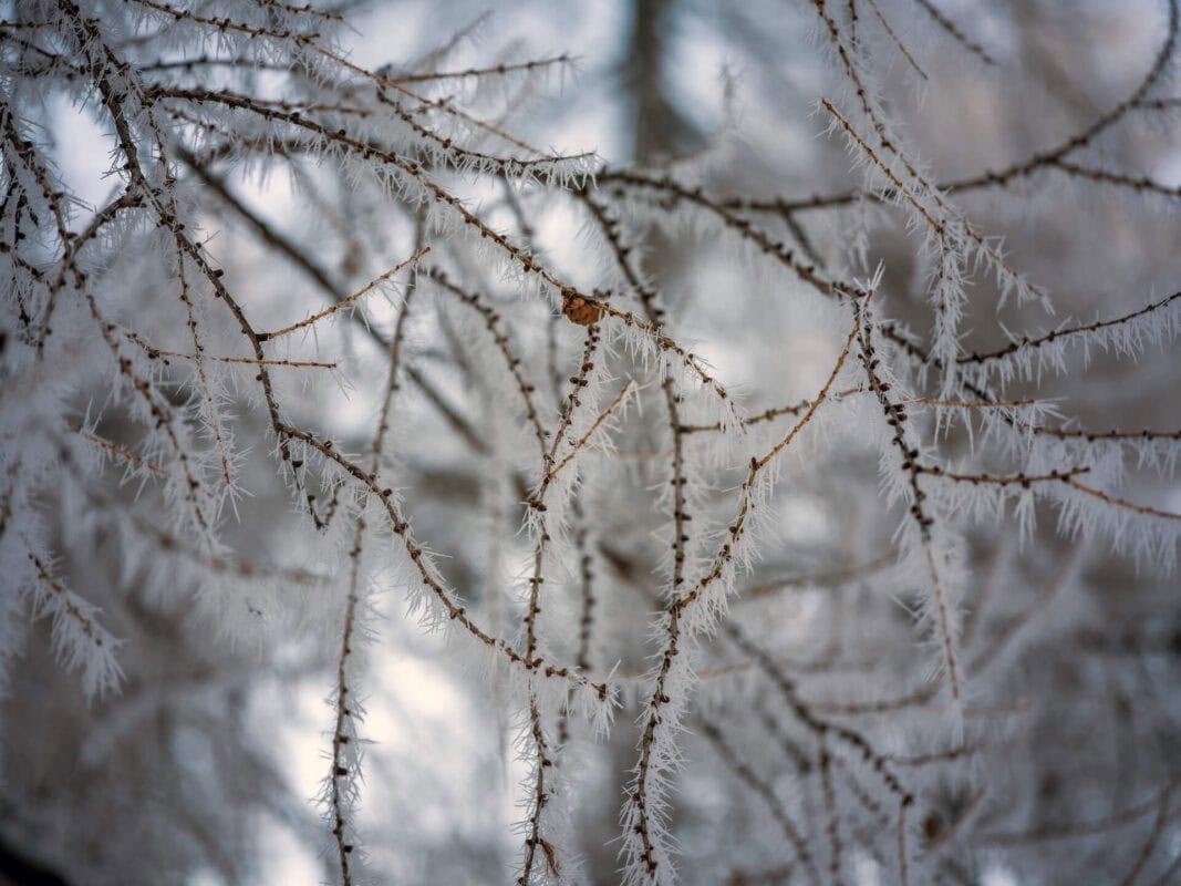 Zašto posjetiti prijelaz Vršič u Sloveniji u blizini Kranjske Gore zimi?