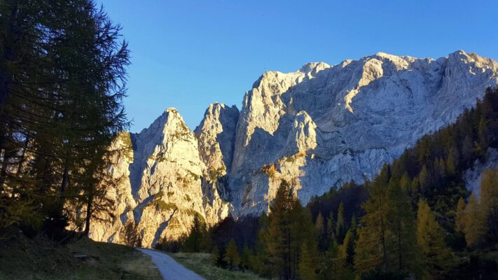 Prisojnikovo kraljevstvo